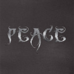 PEACE on Earth, from "One Word" shirt collection